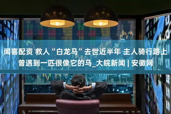 闻喜配资 救人“白龙马”去世近半年 主人骑行路上曾遇到一匹很像它的马_大皖新闻 | 安徽网