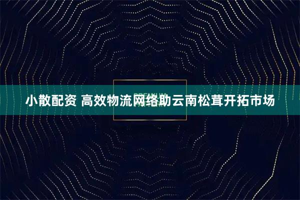 小散配资 高效物流网络助云南松茸开拓市场