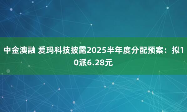 中金澳融 爱玛科技披露2025半年度分配预案:拟10派6.28元