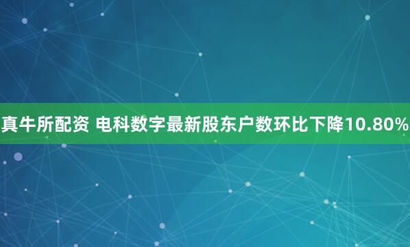 真牛所配资 电科数字最新股东户数环比下降10.80%