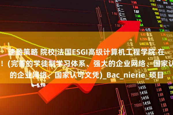 速盈策略 院校|法国ESGI高级计算机工程学院 在数字科技领域成就未来！(完善的学徒制学习体系、强大的企业网络、国家认可文凭)_Bac_nierie_项目