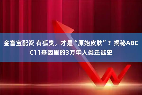金富宝配资 有狐臭，才是“原始皮肤”？揭秘ABCC11基因里的3万年人类迁徙史